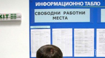 намаля безработицата ямболска област август