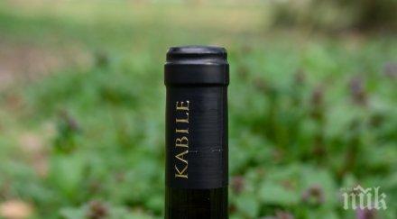 корона злато винената серия kabile вила ямбол