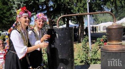 фестивалът сливата започна троян