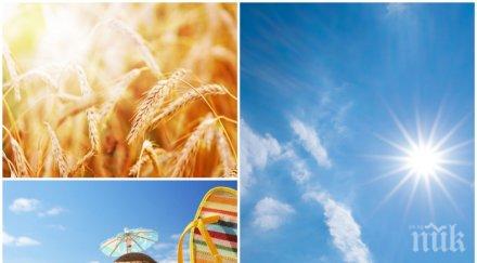 чудесно новата седмица започва слънце хубаво време карта