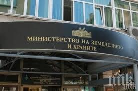 въвеждат строги изисквания етикетите имитиращите продукти