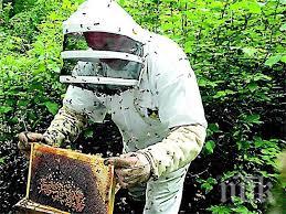 бургазлия задигна кошери двор камено влиза решетките две години половина