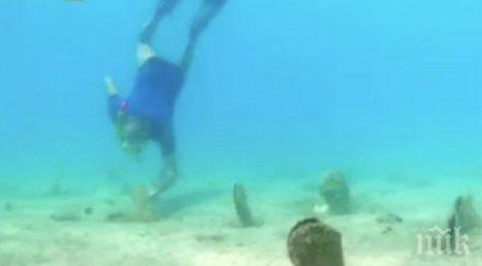 неизвестна болест унищожава гигански миди хърватия