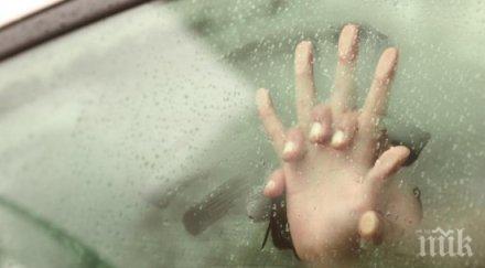 важна кучешката поза