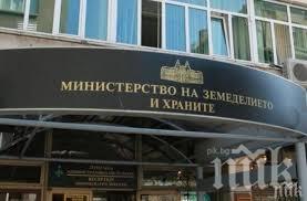 Въвеждат строги изисквания към етикетите на имитиращите продукти