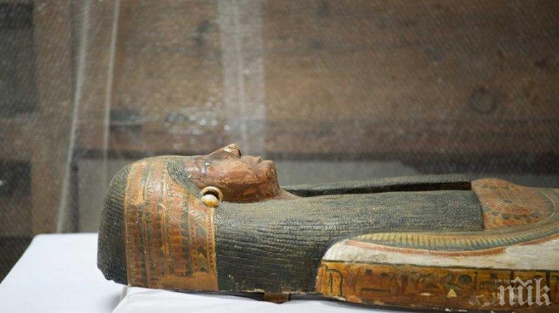 НАХОДКА: Египет откри 27 ковчега на 2500 години