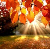 Климатолог с добра новина: Очаква ни топъл октомври - ето къде и кога ще вали