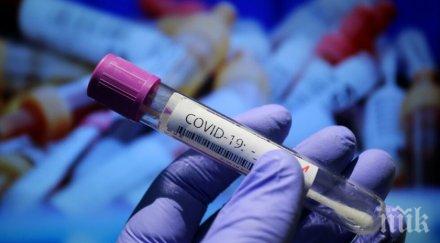 семейно огнище covid варненско