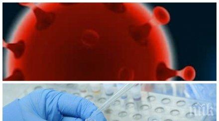 заразата вихри пламна огнище covid завод варна