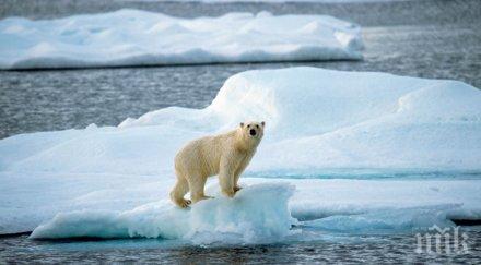 арктическият лед стопи критичен минимум