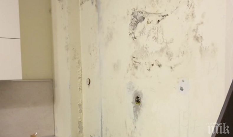 ЧАСТЕН СЛУЧАЙ: Течове съсипват апартамент в София, дори съдът безсилен да спре наводнението