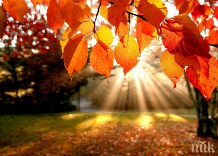 Климатолог с добра новина: Очаква ни топъл октомври - ето къде и кога ще вали