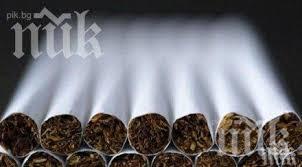 Разбиха депа за нелегален тютюн в четири села до Пловдив