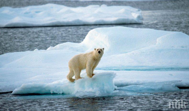 Арктическият лед се стопи до критичен минимум