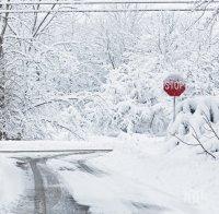 ПАНИКА: Първият сняг шокира животновъдите в Дупнишко 