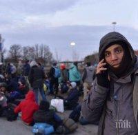 Нараства броят на мигрантите в Сърбия