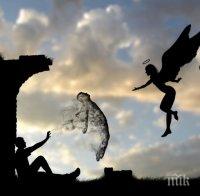 Любопитни неща, които не знаем за сънищата