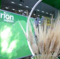 Бизнесът търси ниви за хотели и заводи