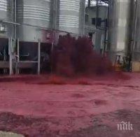 Цистерна изля 50 000 литра вино в Испания