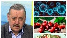 Проф. Кантарджиев разкри тайната си рецепта срещу вируса – яжте тези храни и ще се опазите