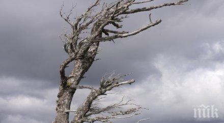 вятърът обрули ботев мургаш черни връх метра секунда