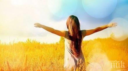 неща правят щастливи парите