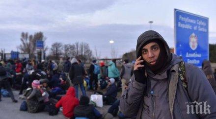 нараства броят мигрантите сърбия