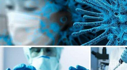 последни данни 216 случая коронавирус нас починалите денонощието