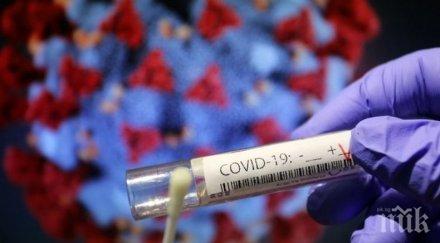 деца детска градина русалка русе карантина