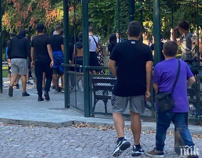 Издирват непълнолетните скинари, замервали с яйца хора от гей общности в Пловдив