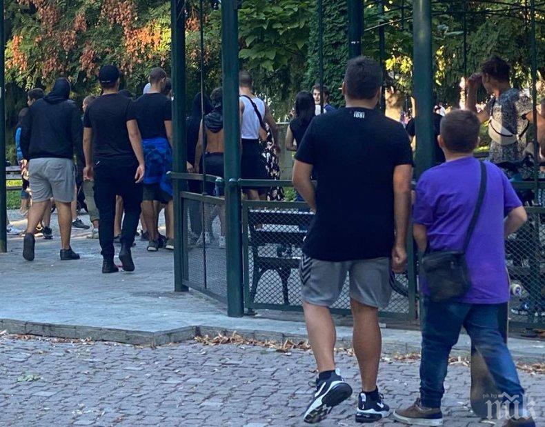 Скинари вилнеят в центъра на Пловдив, търсят сблъсък с гей общности (ВИДЕО)