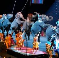 Франция забранява диви животни в пътуващите циркове и отглеждането на норки