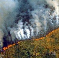 Пожарите от началото на годината в горите на Амазония са най-сериозните от десетилетие