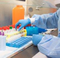 Чудо в Хасково - нито един заразен с коронавирус, 42-годишна жена пребори нашественика