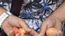 Метежниците в Пловдив стигнаха дъното - замерят областната управа с кондоми (СНИМКИ)