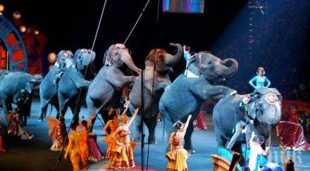 франция забранява диви животни пътуващите циркове отглеждането норки