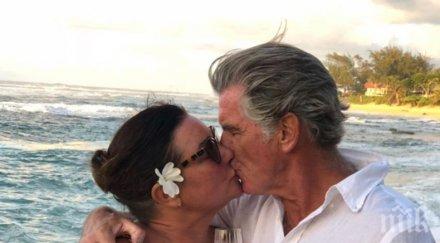 100 милиона долара пиърс броснан продава къщата орхидеите снимки