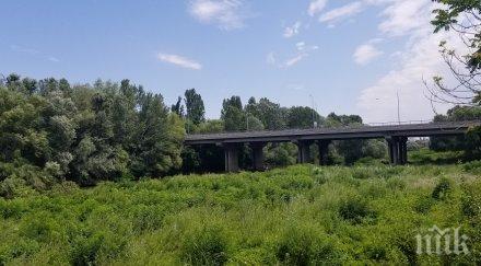 известен пловдивски бизнесмен купи остров адата