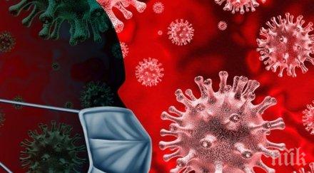 рекорд 392 новозаразени коронавируса аржентина денонощие