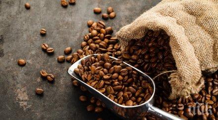 рецептата рукола кафе направят тигър легото