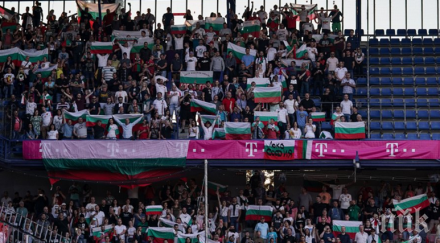 добра новина лъвовете