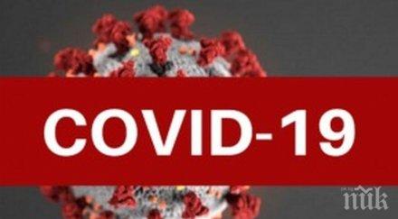 стряскаща прогноза души света останат без работа заради covid