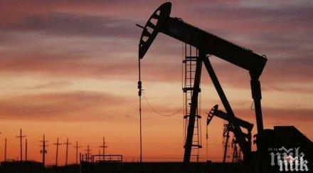 скепсис икономиката сащ смъкна цените петрола