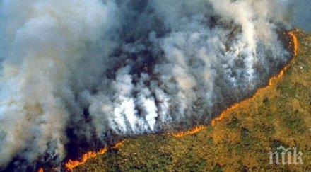 пожарите началото годината горите амазония сериозните десетилетие