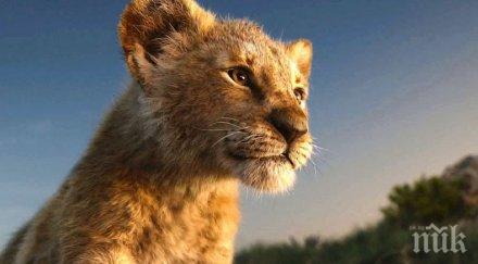 носител оскар снима продължение римейка цар лъв