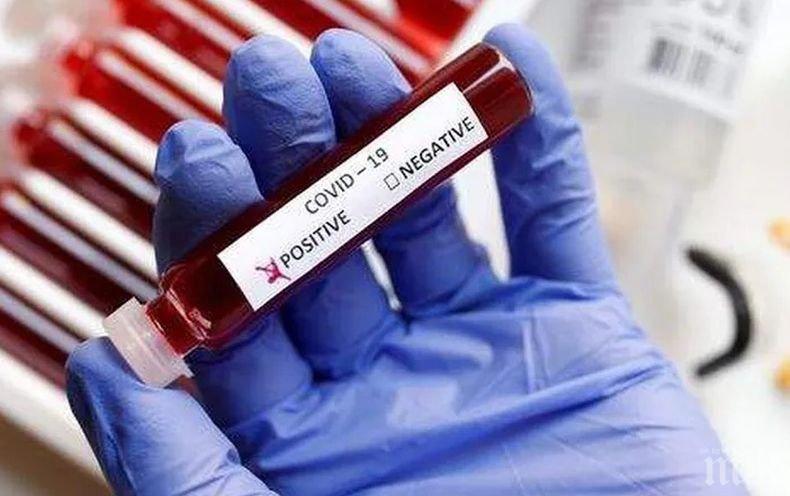 Вирусът зарази 25 човека в Благоевградско, най-много - в областния център