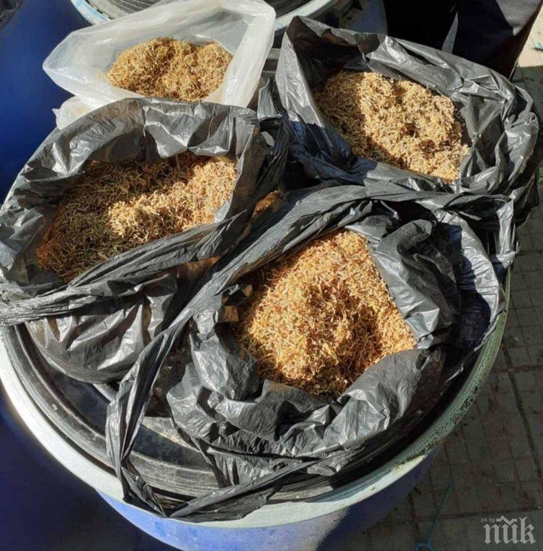 Британци кътат дрога в къщи в павликенско село