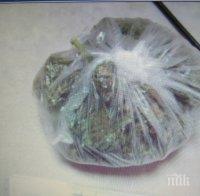 Възрастна смолянчанка загази заради марихуана