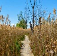 Започна доброволческа акция по възстановяването на Драгоманското блато