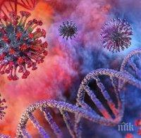 Огнище на COVID-19 в Дома за възрастни хора в Ямбол